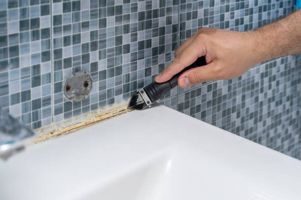 Best Local Mold Removal Service  in Seven Oaks, SC