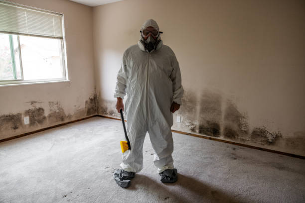 Best Toxic Mold Removal  in Seven Oaks, SC