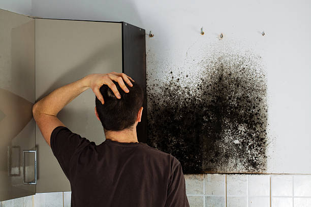 Best Fast Mold Removal  in Seven Oaks, SC